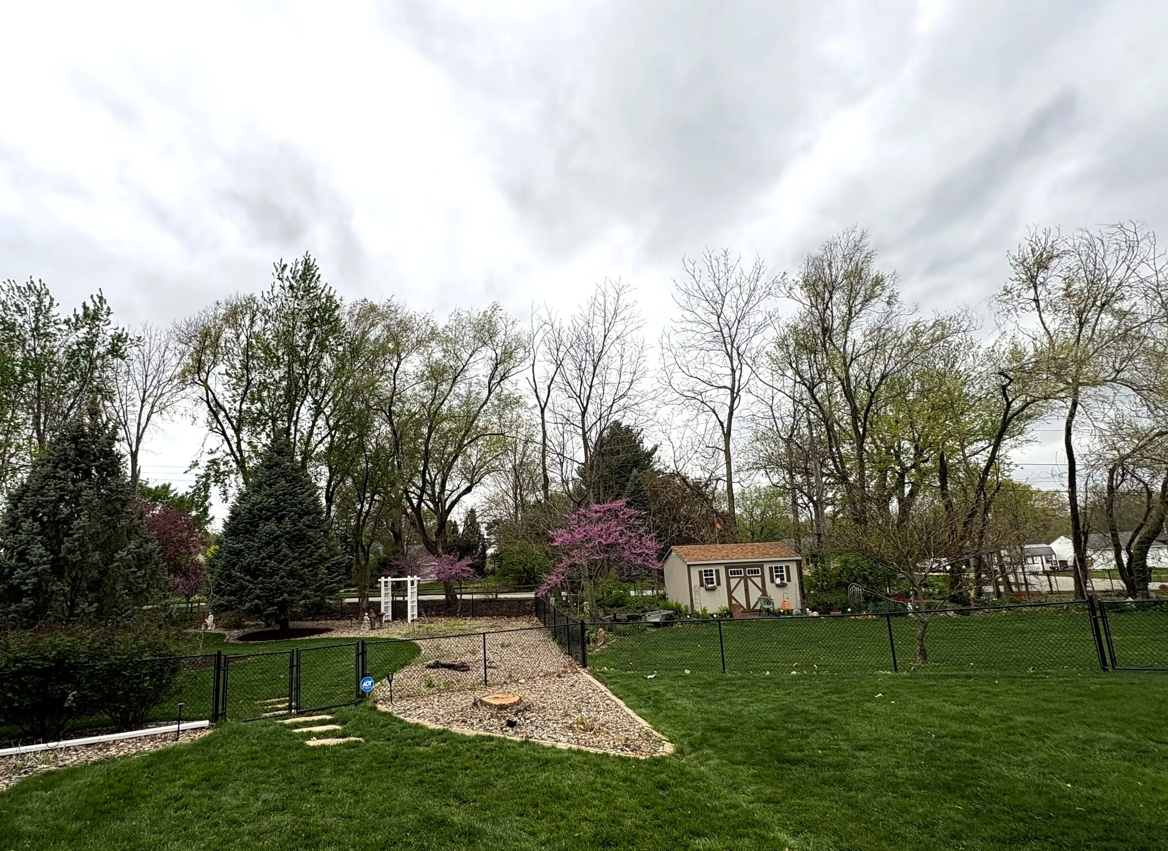 The same backyard after the tree was taken out and cleaned up